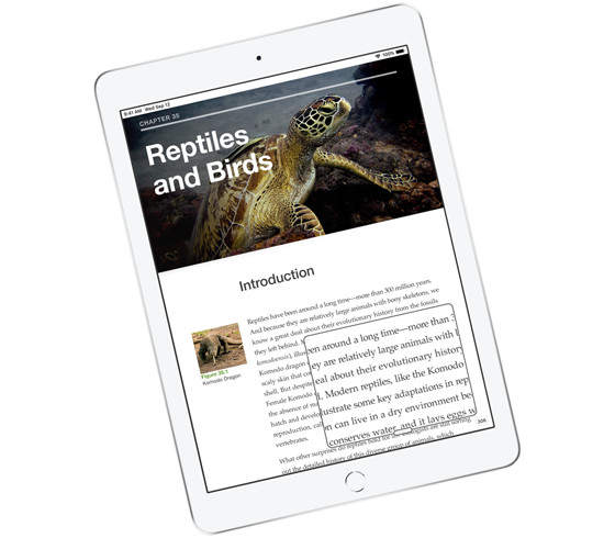 ipad-accs