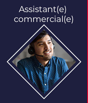 btn Assistant commerciale